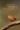 9789033133947