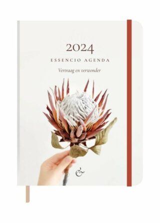 Essencio Agenda klein A6 2024