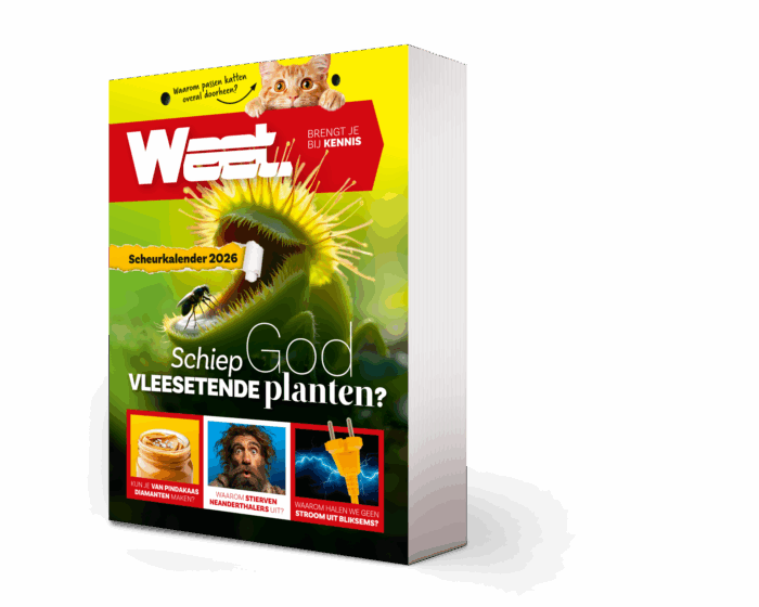 Weet scheurkalender 2026