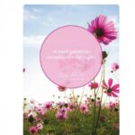 Blikje Power Quotes - serie 1 - Afbeelding 4