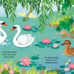 Vogels - Afbeelding 2