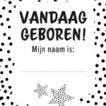 Baby's eerste jaar - boekbox - Afbeelding 3