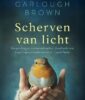 Scherven van licht 1 – Sharon Garlough Brown